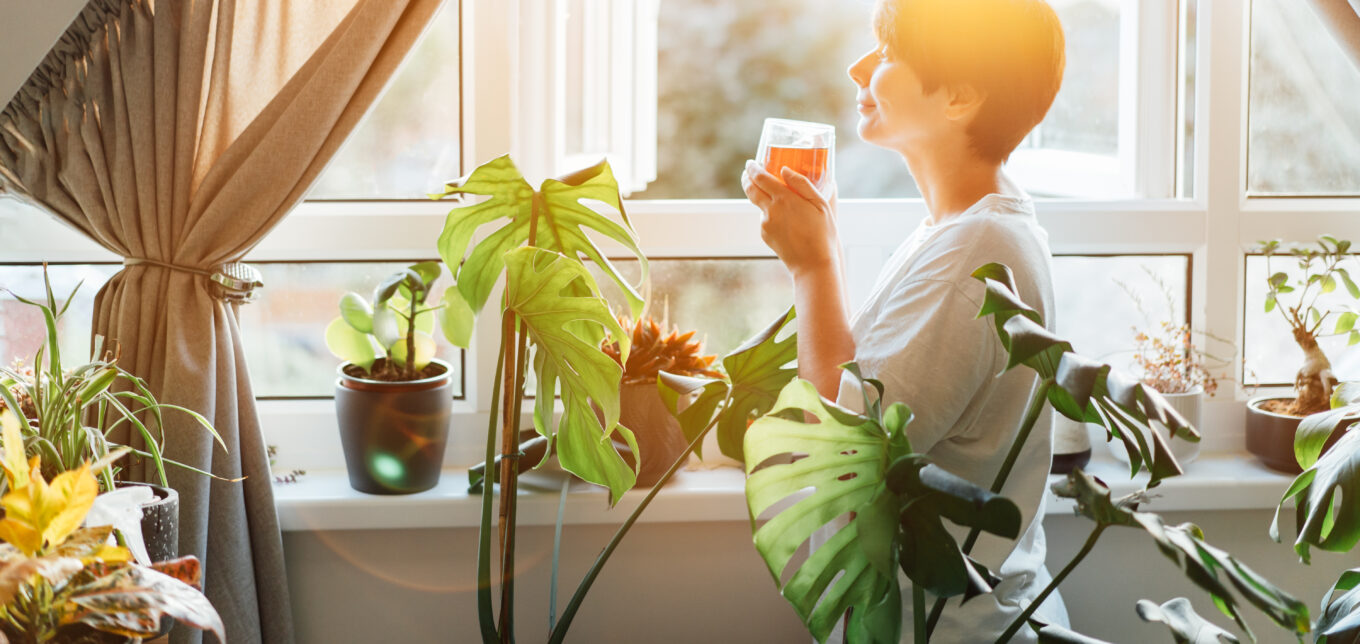 Best Tea for Stress and Anxiety: 3 Calming Blends – Mother Earth News - Vimarsana News